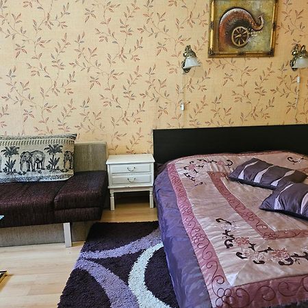 카우나스 Vieno Kambario Butas Su Balkonu 아파트 외부 사진